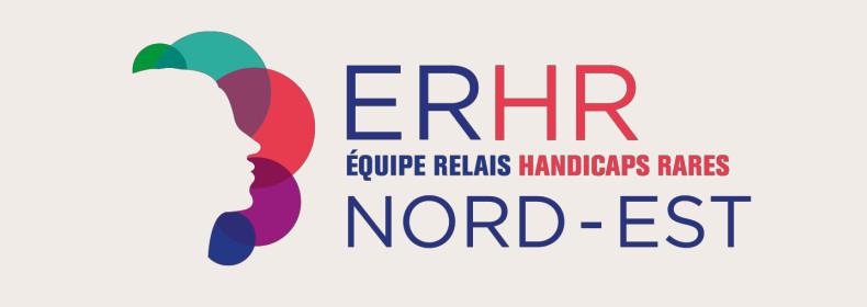 Logo2 erhr